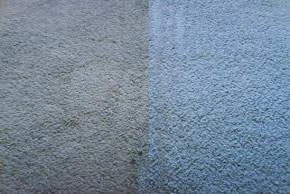 Before and after carpet cleaning